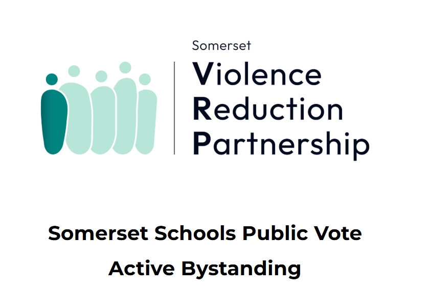 Somerset Schools Public Vote Active Bystanding Logo